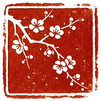 Ấn Hoa Mai — Tuvitrondoi