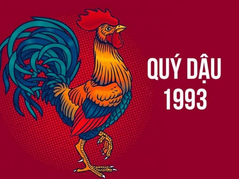 Tử Vi Tuổi Quý Dậu (1993) Năm 2026 Nữ Mạng